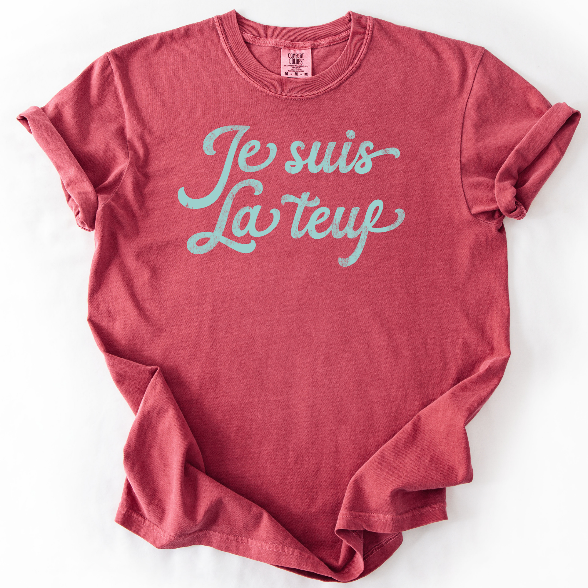 I am the party (french) t-shirt