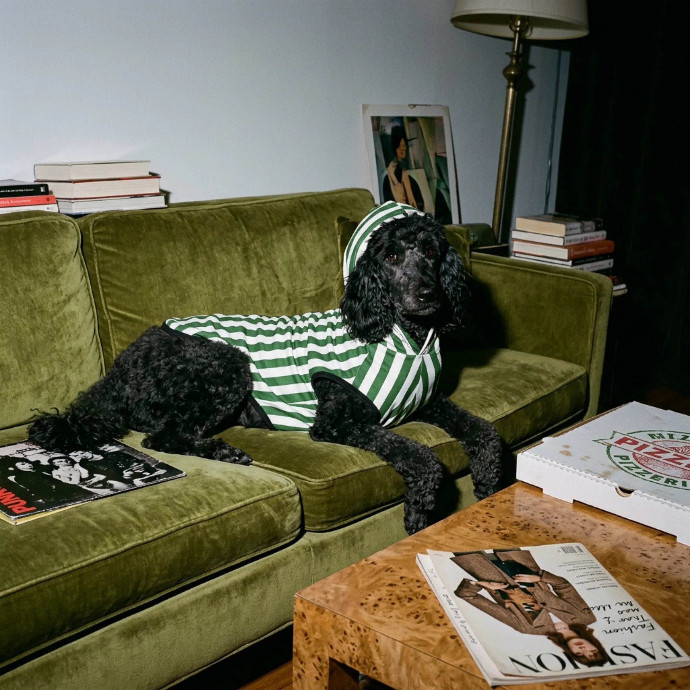 green parlor stripe Pet hoodie