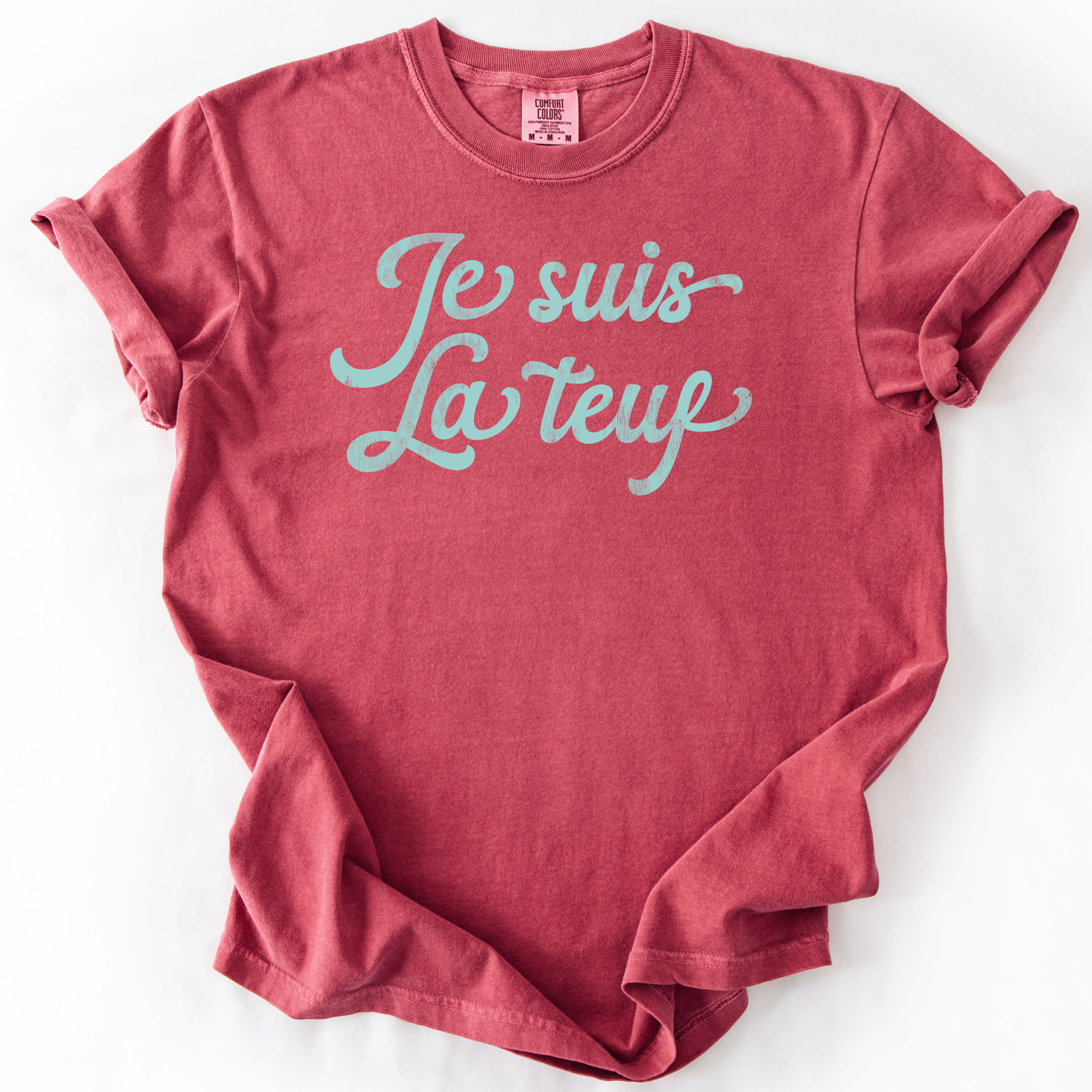I am the party (french) t-shirt