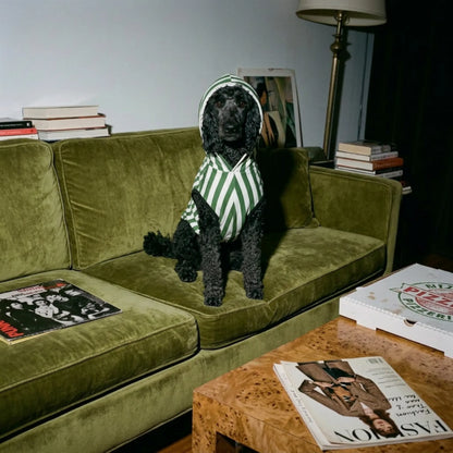 green parlor stripe Pet hoodie